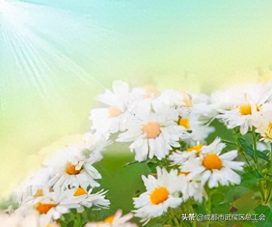 自我调整心态的方法（如何自我心理调节的七种方式）