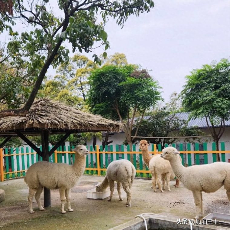 佛山南丹山风景区介绍（必去十大景点排名）