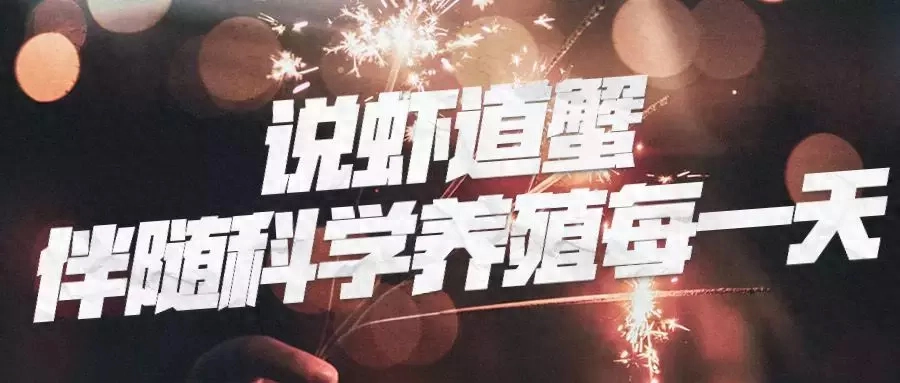 养十亩龙虾要多少成本（计算方法）