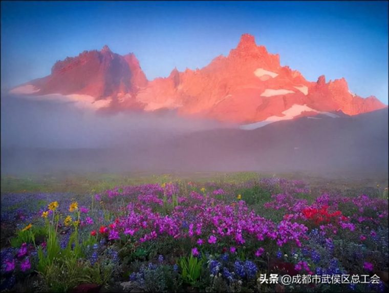 自我调整心态的方法（如何自我心理调节的七种方式）