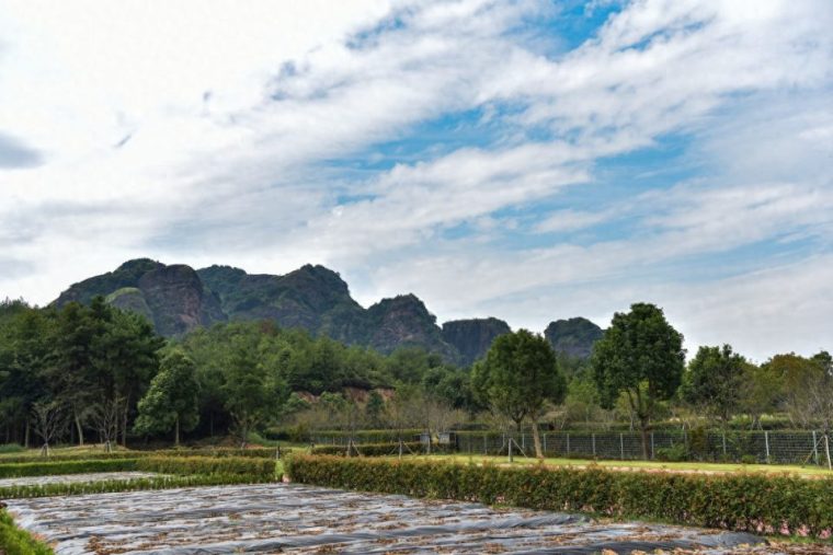 龙虎山在哪个省（哪个市景区地址）