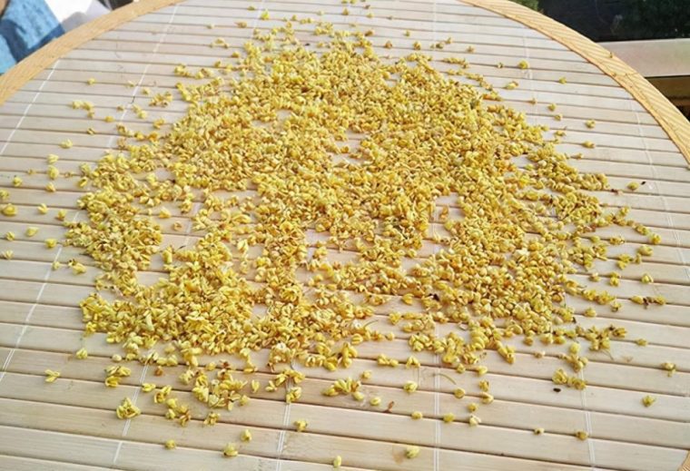 桂花怎么晒干保留香气和营养（怎么晾晒可以保持香味）
