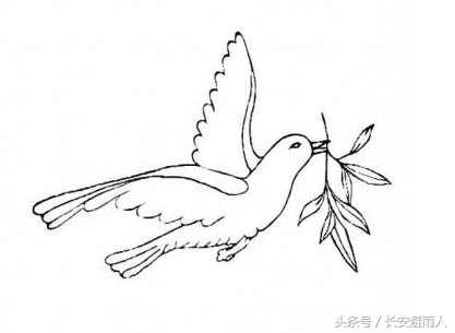 和平鸽怎么画简单又好看（三步完成）