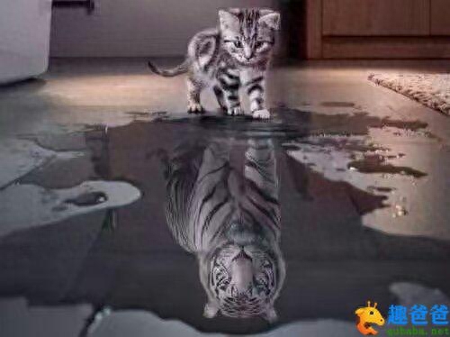 照猫画虎的意思解释（寓意和本意比喻了什么人）