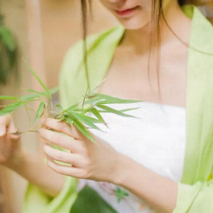 青鸟不传云外信丁香空结雨中愁诗意全诗的意思 青鸟不传云外信丁香空结雨中愁诗意全诗的意思