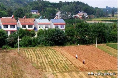 1公顷等于多少亩或多少平方（一亩三分地指什么？）