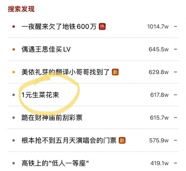 母亲节该送什么花给妈妈（适合送给母亲的寓意好的花）