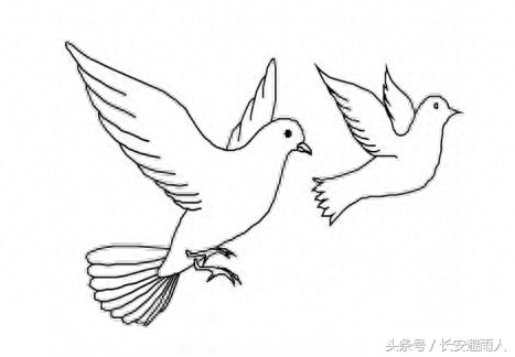 和平鸽怎么画简单又好看（三步完成）