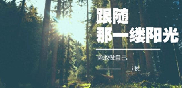 心灵鸡汤是什么意思是贬义词吗（简单解释一下含义）