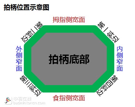 羽毛球握拍图解法教程(基本正反手握拍方法姿势及注意事项) 羽毛球握拍图解法教程(基本正反手握拍方法姿势及注意事项)