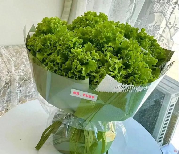 母亲节该送什么花给妈妈（适合送给母亲的寓意好的花）
