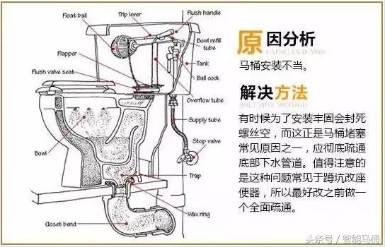 马桶内部结构图图解及堵塞解决方法（弯道结构底部图片）