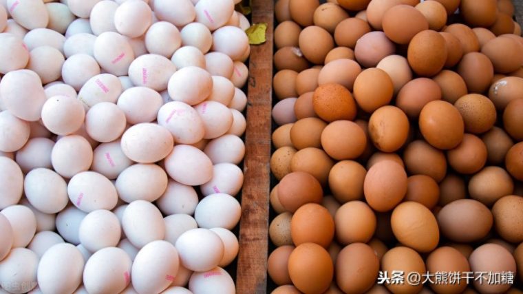 怎样识别土鸡蛋和饲料蛋区别（如何分辨营养一样吗）