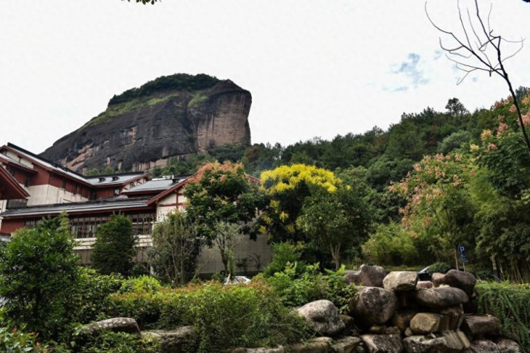 龙虎山在哪个省（哪个市景区地址）