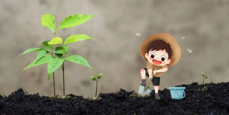植树的好处（树木带给我们的好处）