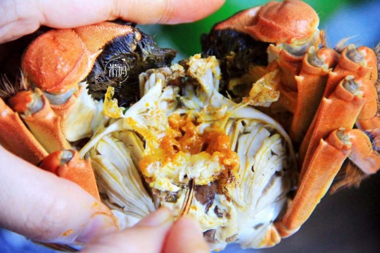 阳澄湖大闸蟹吃法（详细步骤图解教程）